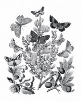 Butterfly Bouquet II Linen BW II Fine Art Print