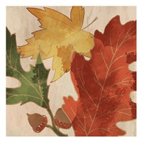 Fall Leaves Square 2 Fine Art Print