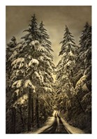 Wagner Creek Snow Fine Art Print