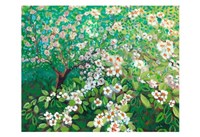 Cascading Fine Art Print