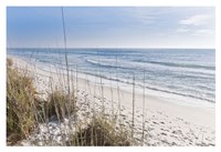 Just the Spot Fine Art Print