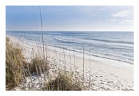 Just the Spot Fine Art Print