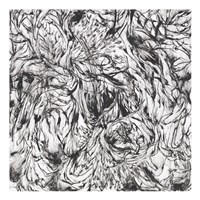 Flourish Fine Art Print