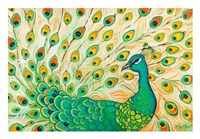 Pretty Pretty Peacock Fine Art Print