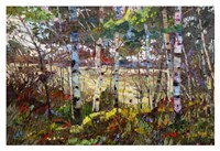 Summer Cool Fine Art Print