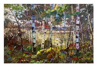 Summer Cool Fine Art Print