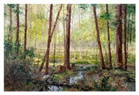 Forest Edge Fine Art Print