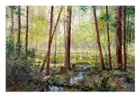 Forest Edge Fine Art Print