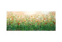 English Summer Fine Art Print
