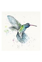 Hummingbird Flurry Fine Art Print