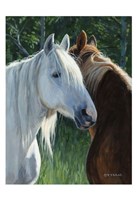 Horse Whispering Fine Art Print