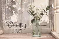Country Charm Fine Art Print