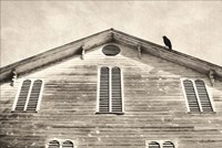 Fort Halifax Crow Fine Art Print