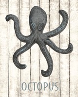 Octopus Framed Print