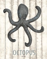 Octopus Fine Art Print