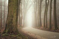 Focus on What You Want Fine Art Print