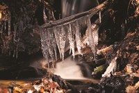 Icicles Fine Art Print