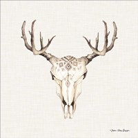 Boho Steer Head I Fine Art Print