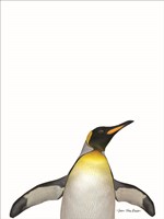 Emperor Penguin Fine Art Print