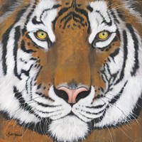 Tiger Gaze Fine Art Print