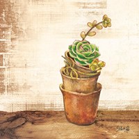 Succulents in a Pot Fine Art Print