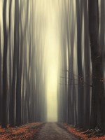 Reaching Out Fine Art Print