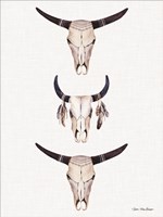 Boho Steer Head III Fine Art Print