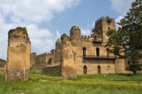 Fasilides' Castle in the fortress-city of Fasil Ghebbi, Gondar, Ethiopia Fine Art Print