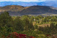 Red flowers and Farmland in the Mountain, Konso, Ethiopia Fine Art Print