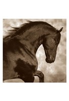 Rio (sepia) Fine Art Print