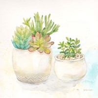 Sweet Succulent Pots I Framed Print