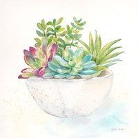 Sweet Succulent Pots II Framed Print