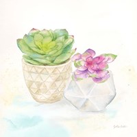Sweet Succulent Pots III Framed Print