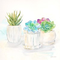 Sweet Succulent Pots IV Fine Art Print