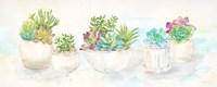 Sweet Succulents Panel Fine Art Print