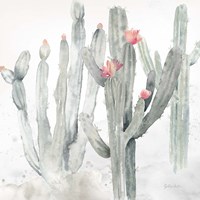 Cactus Garden Gray Blush II Fine Art Print