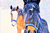 Snow Horses Fine Art Print