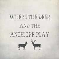 Where the Deer and Antelope Fine Art Print