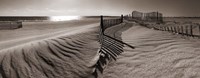 Dune Walk Fine Art Print