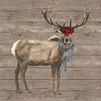 Warm in the Wilderness Deer Fine Art Print