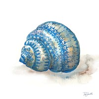 Bohemian Shells I Framed Print