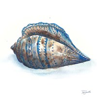 Bohemian Shells II Fine Art Print