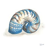 Bohemian Shells IV Framed Print