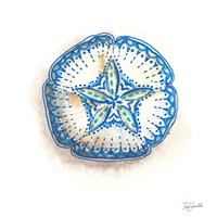 Bohemian Shells VI Fine Art Print