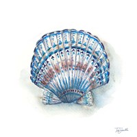Bohemian Shells VII Fine Art Print