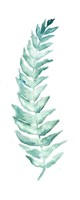 Botanical Fern Single I Fine Art Print