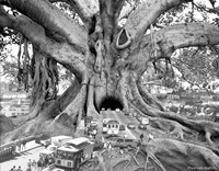 Tourist Trap Fine Art Print