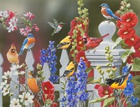 Birds - Spring & Summer Fine Art Print
