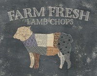 From the Butcher Elements 19 Framed Print