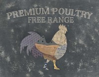 From the Butcher XI Framed Print